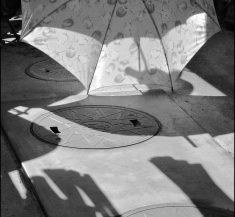 Umbrella seen in a backyard